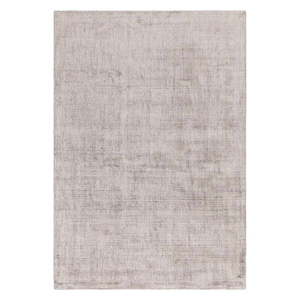 Sivý koberec 170x120 cm Aston - Asiatic Carpets vyobraziť