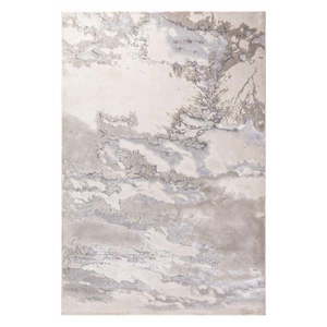 Sivý koberec 290x200 cm Aurora - Asiatic Carpets vyobraziť