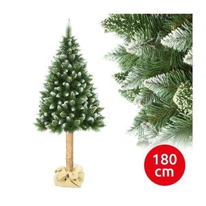 Vianočný stromček na kmeni 180 cm borovica vyobraziť
