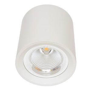 Ecolite Biele nástenné svietidlo okrúhle 30W MZ-DL-30W/BI vyobraziť