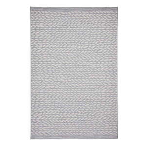 Sivý vonkajší koberec 170x120 cm Coast - Think Rugs vyobraziť
