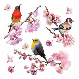 Samolepiaca dekorácia Birds, 30 x 30 cm vyobraziť