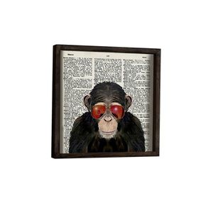Nástenný obraz Monkey 34x34 cm I vyobraziť
