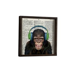 Nástenný obraz Monkey 34x34 cm III vyobraziť