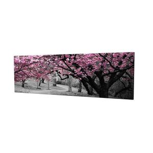 Obraz na plátne Cherry tree alley PC017 30x80 cm vyobraziť