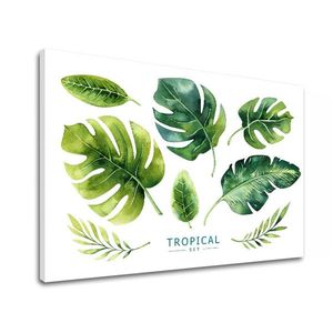 Obraz na stenu s textom Tropical set (moderné obrazy s textom) vyobraziť