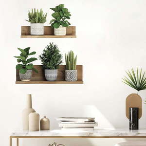 Samolepka na stenu 60x35 cm 3D effect Green Plants - Ambiance vyobraziť