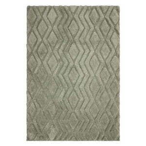 Zelený koberec 170x120 cm Harrison - Asiatic Carpets vyobraziť