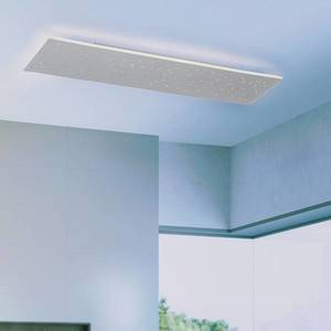 Q-Smart-Home Paul Neuhaus Q-NIGHTSKY, stropné LED 100 x 25 cm vyobraziť