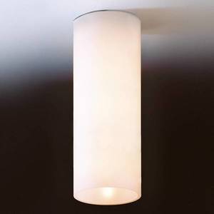 Top Light Jednoduché stropné svietidlo DELA z bieleho skla vyobraziť