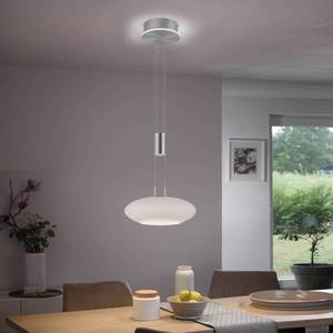 Q-Smart-Home Paul Neuhaus Q-ETIENNE závesné LED svietidlo, 1-pl vyobraziť