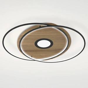 Q-Smart-Home Paul Neuhaus Q-AMIRA stropné LED svetlo ovál hnedá vyobraziť