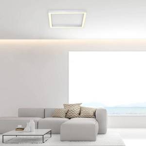 PURE Paul Neuhaus Pure-Lines stropné LED štvorec hliník vyobraziť