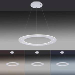 PURE Paul Neuhaus Pure-Cosmo závesné LED svetlo Ø 55 cm vyobraziť