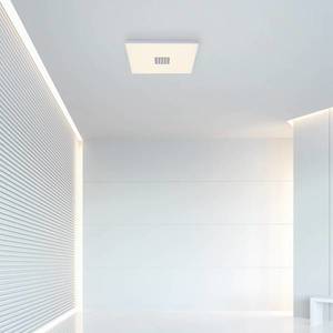 PURE Paul Neuhaus Pure-Neo stropné LED svetlo 45x45 cm vyobraziť