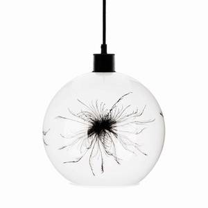 Euluna Závesná lampa Ball púpavový dekór na boku Ø 25 cm vyobraziť