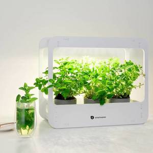 Smartwares LED skleník ISL-60025, botanická žiarovka vyobraziť