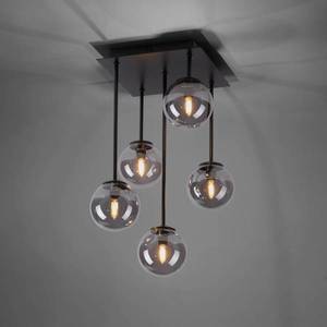 Paul Neuhaus Paul Neuhaus Widow stropné LED svietidlo, 5-pl. vyobraziť