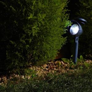 SMART GARDEN Solárne LED svetlo s hrotom do zeme Prima, 4 kusy vyobraziť