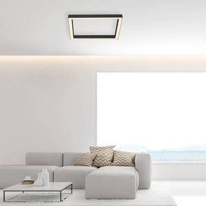 PURE Paul Neuhaus Pure-Lines strop LED štvorec antracit vyobraziť
