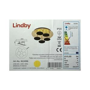 Lindby Lindby - LED Stmievateľné stropné svietidlo CASNI 5xLED/5W/230V vyobraziť