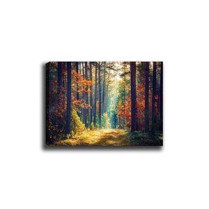 Obraz na plátne Miracle forest 50x70 cm vyobraziť