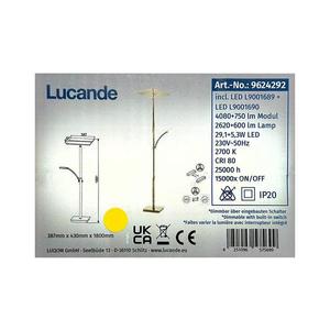 Lucande Lucande - LED Stmievateľná stojacia lampa PARTHENA LED/29, 1W/230V + LED/5, 3W/230V vyobraziť