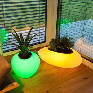 degardo Dekoratívna lampa Storus VI LED RGBW, biela farba na sadenie vyobraziť