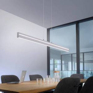 Q-Smart-Home Paul Neuhaus Q-VITO trámová závesná lampa, oceľ vyobraziť