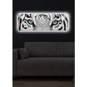 Obraz s led osvetlením White Tiger 90x30 cm vyobraziť