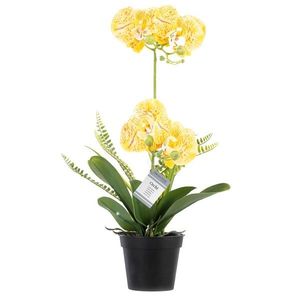 Umělá květina ORCHI žlutá vyobraziť