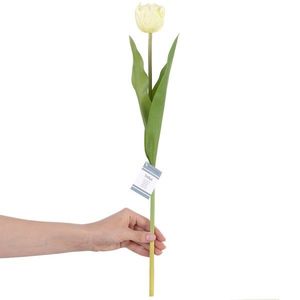 Umelá Rastlina Tulipány vyobraziť