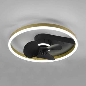 Reality Leuchten Stropný ventilátor Borgholm diódy LED, CCT, čierna vyobraziť