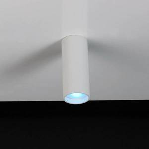 LUTEC LED stropné bodové svetlá Stag, CCT a RGBW, biela vyobraziť