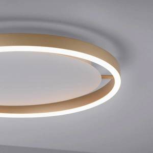 JUST LIGHT. LED stropné svietidlo Ritus, Ø 39, 3 cm matná mosadz vyobraziť