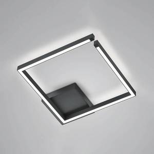 Knapstein Stropné LED svetlo Yoko up/down štvorcové čierna vyobraziť