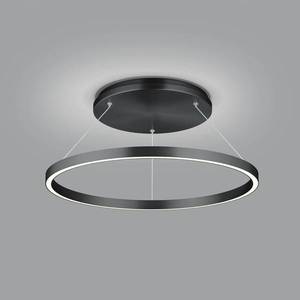 Knapstein Závesné LED svietidlo Lisa-D, kruhové, čierna vyobraziť