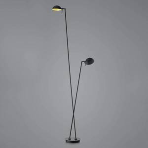 HELL LED stojacia lampa Samy 2 svetlá 180cm čierna/zlatá vyobraziť