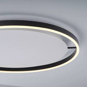JUST LIGHT. LED stropné svietidlo Ritus, Ø 58, 5 cm, antracitová farba vyobraziť