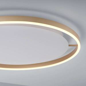 JUST LIGHT. LED stropné svietidlo Ritus, Ø 58, 5 cm, matná mosadz vyobraziť