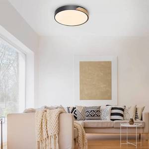 Q-Smart-Home Paul Neuhaus Q-BILA stropné LED svetlo, čierna/dub vyobraziť