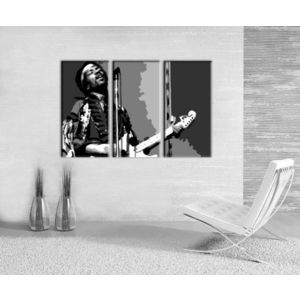 Ručne maľovaný POP Art obraz Jimmy Hendrix (POP ART obrazy) vyobraziť
