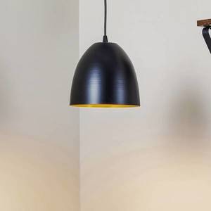 EMIBIG LIGHTING Závesná lampa Lenox jedno-plameňová, čierna/zlatá vyobraziť