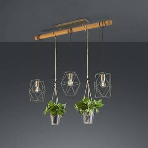 Trio Lighting Závesná lampa Plant, 3-pl. so sklami na dekoráciu vyobraziť
