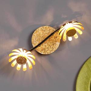 Eco-Light Nástenné LED svietidlo Bloom, 2-plameňové zlaté vyobraziť