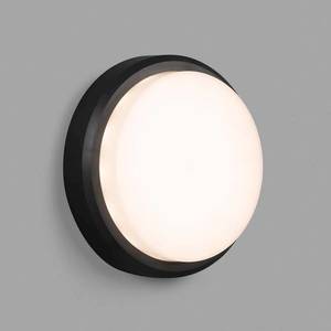 FARO BARCELONA Vonkajšie nástenné LED svetlo Tom XL IK10, sivé vyobraziť