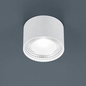 Helestra Helestra Kari stropné LED svietidlo okrúhle, biele vyobraziť