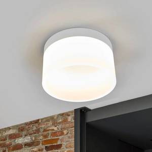 Helestra Helestra Liv – stropné LED svietidlo 20 cm vyobraziť