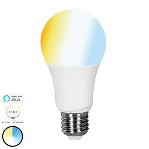 tint Müller Licht tint white LED žiarovka E27 9W, CCT vyobraziť