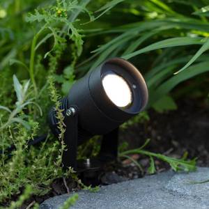 Markslöjd Záhradný reflektor 24 LED, čierny, 15 W vyobraziť